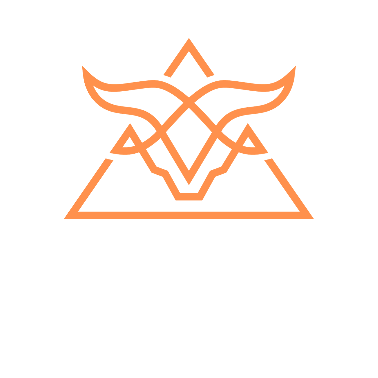Loans American